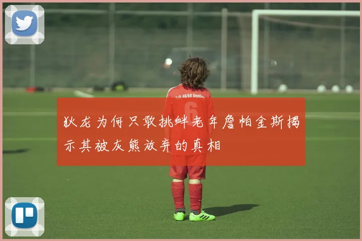 狄龙为何只敢挑衅老年詹帕金斯揭示其被灰熊放弃的真相
