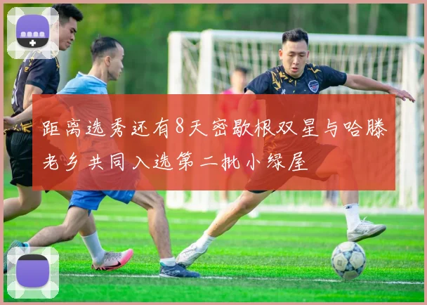 距离选秀还有8天密歇根双星与哈滕老乡共同入选第二批小绿屋