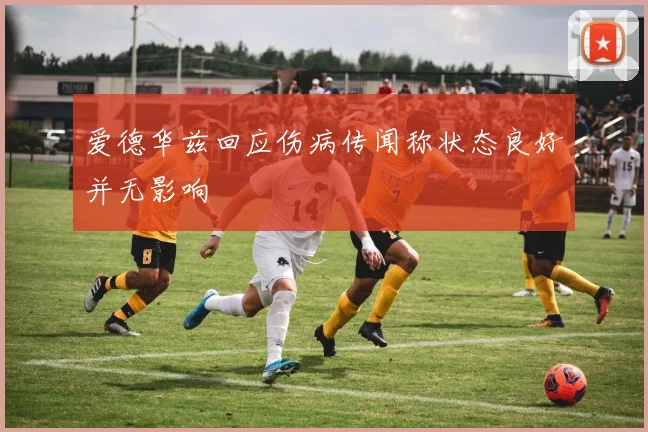 爱德华兹回应伤病传闻称状态良好并无影响