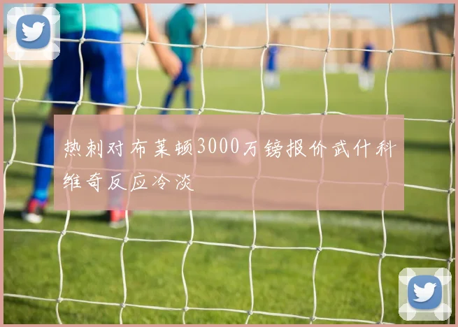 热刺对布莱顿3000万镑报价武什科维奇反应冷淡